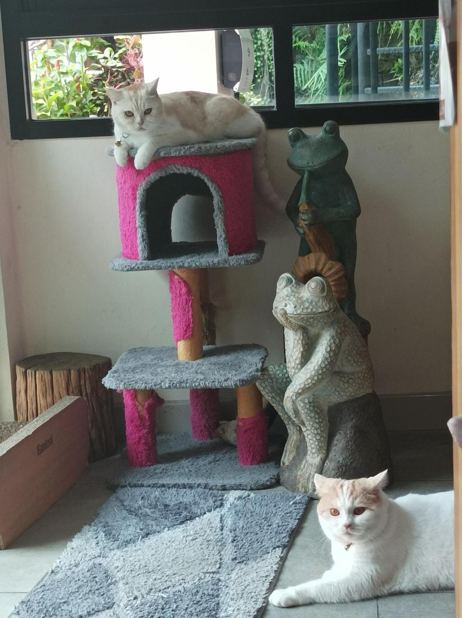 Double D Rooms & Cafe Μπανγκόκ Εξωτερικό φωτογραφία